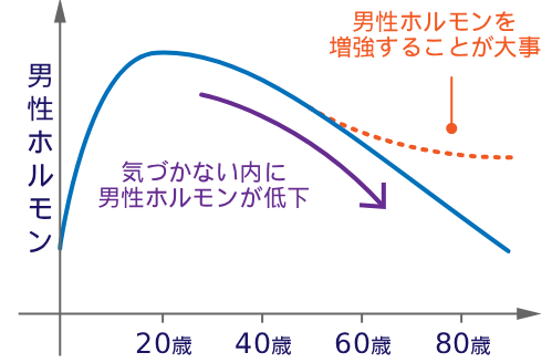 加齢に伴う男性ホルモン（テストステロン）の低下を示すグラフ
